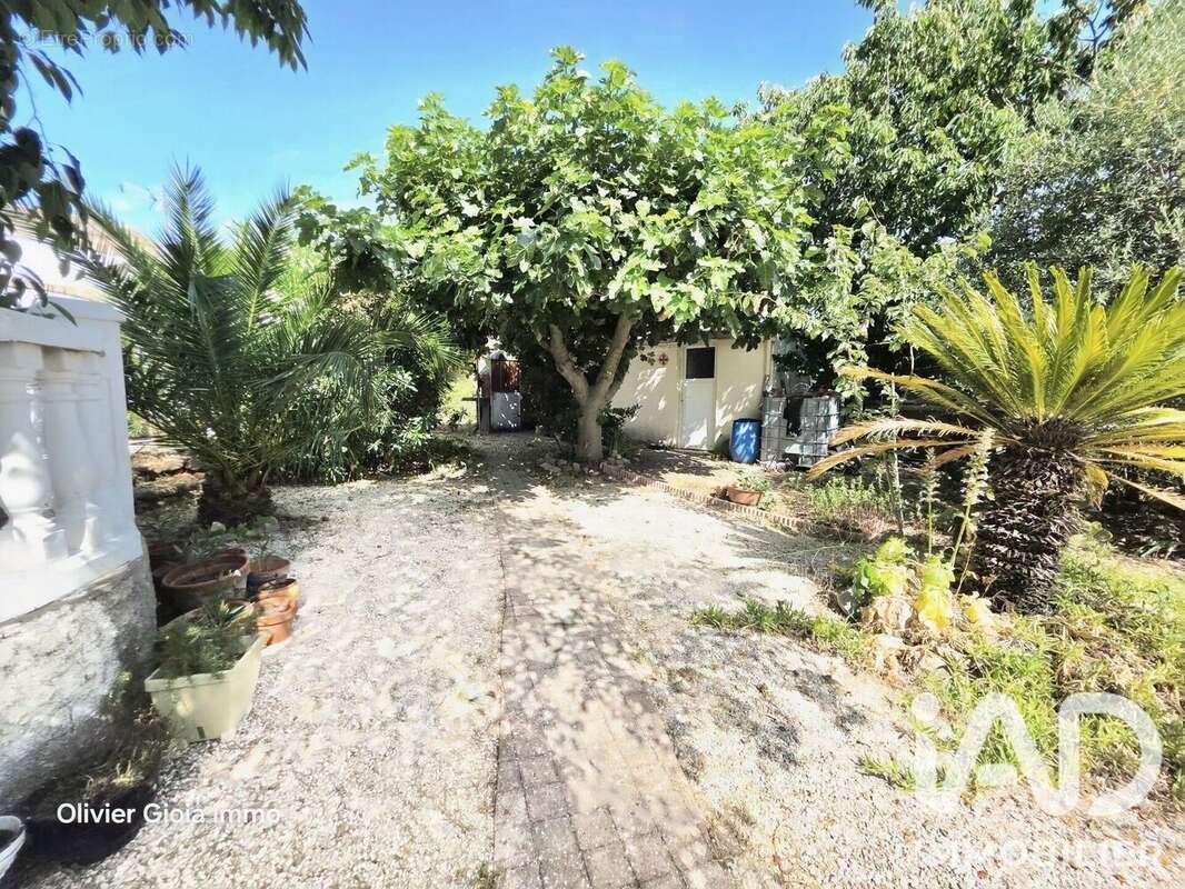 Photo 6 - Maison à SALLES-D'AUDE