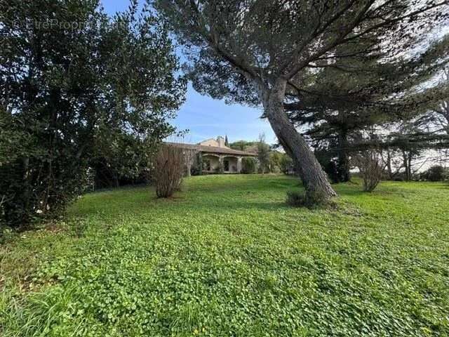 Maison à SAINT-MARTIN-DE-CRAU