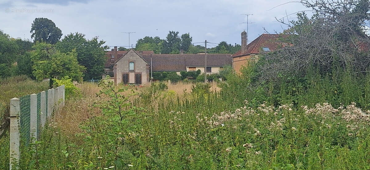 Terrain à VULAINES