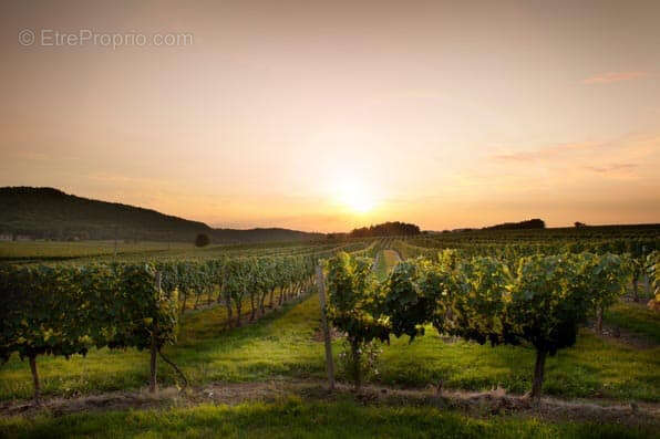 Estate with house, gite, events venue, land and pool - photo 37