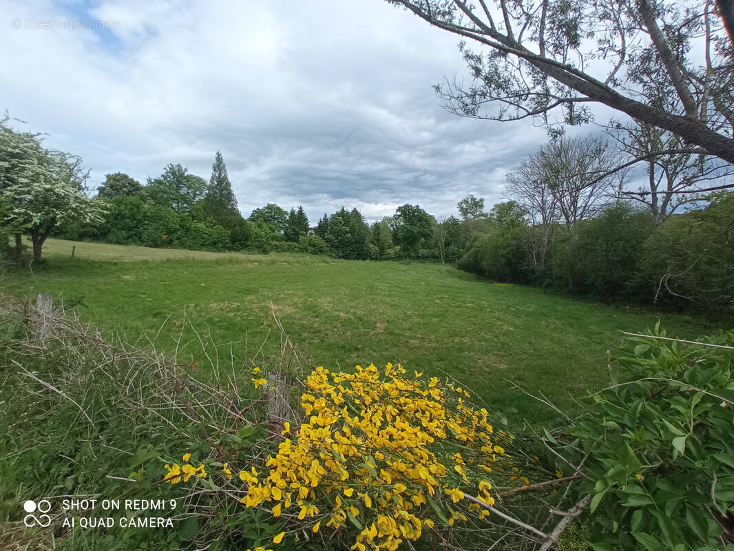 Terrain à BROMONT-LAMOTHE
