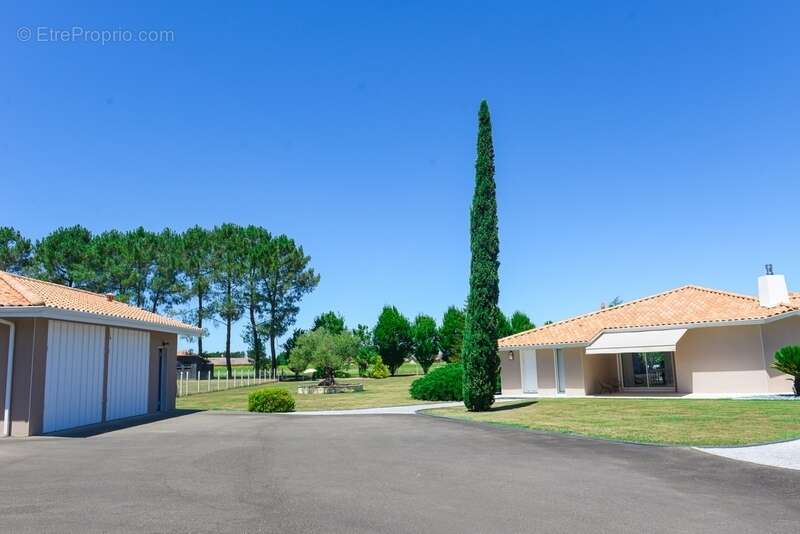 Maison contemporaine haut de gamme 203m2 avec piscine chauffée et double garage - photo 28