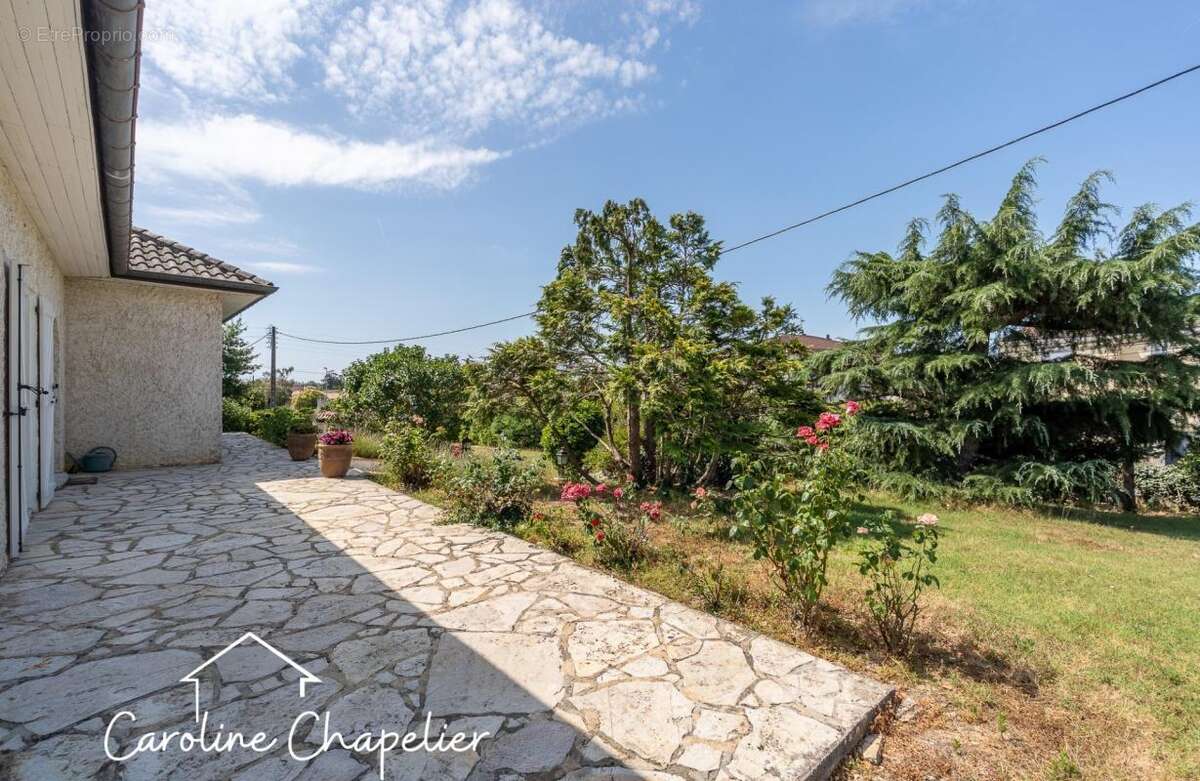 Centre-ville Plaisance-du-Touch – Maison familiale avec grand terrain divisible de 1 500 m² - photo 12