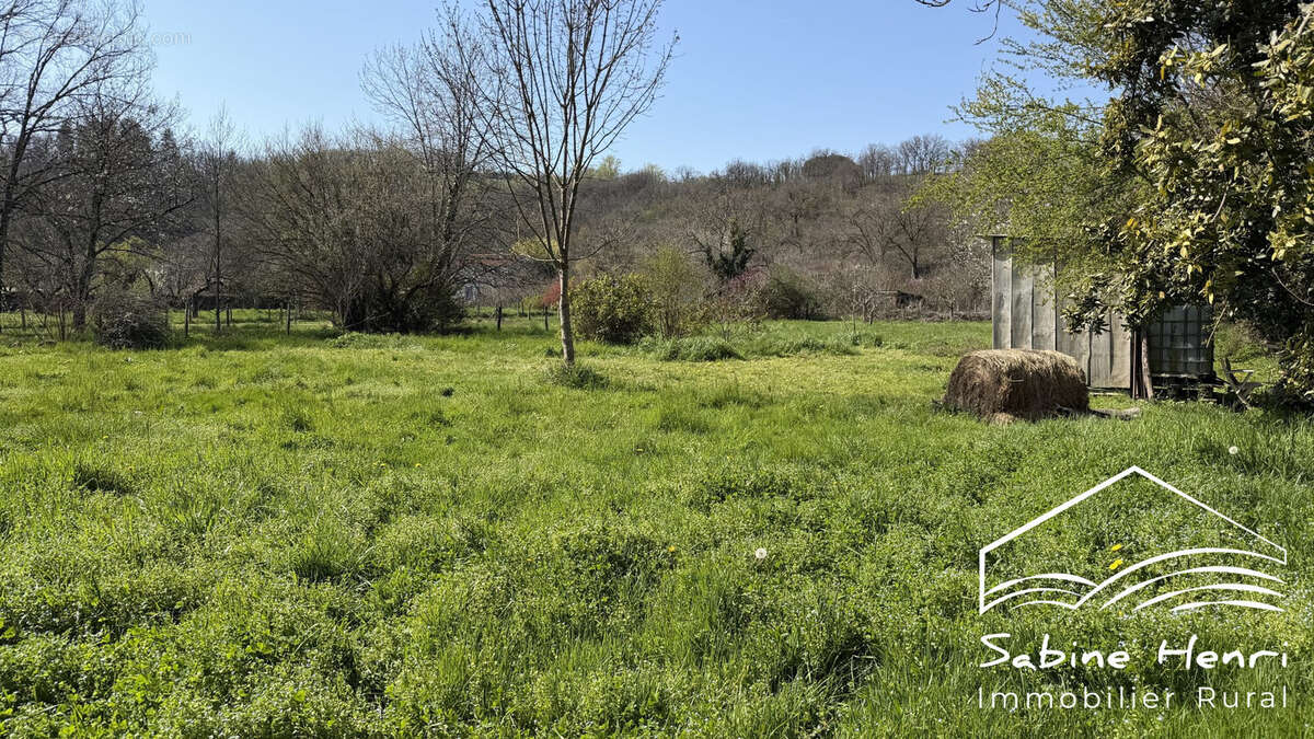 Maison 257 m² à Monesties  - photo 5