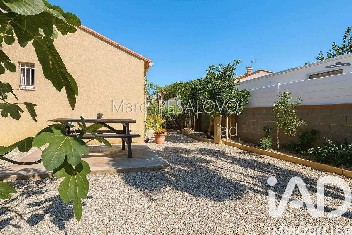 Photo 4 - Maison à TOULOUGES