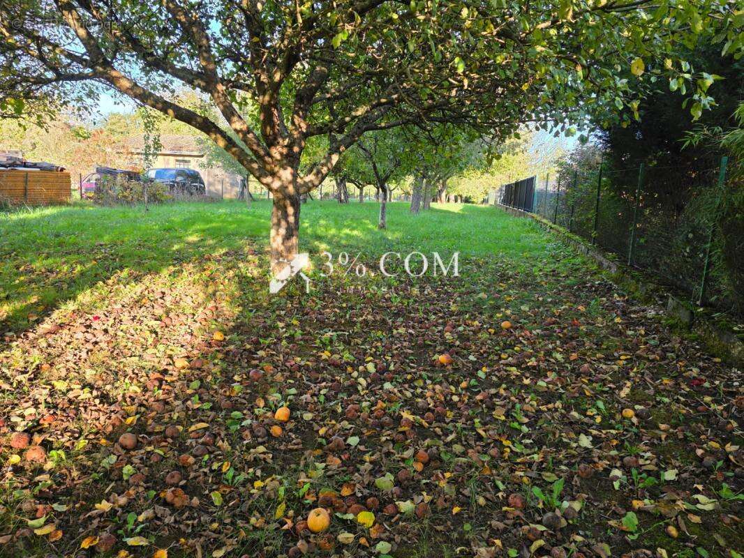 Terrain à MONT-SUR-MEURTHE