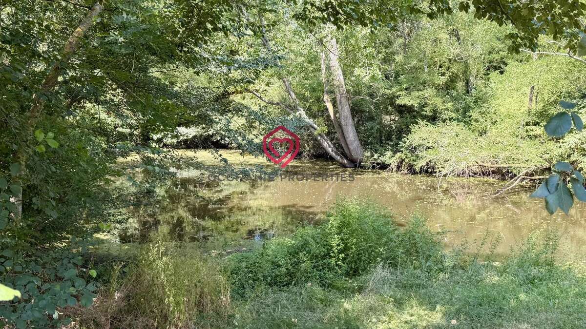 Propriété avec deux habitations et dépendances sur 1,3ha de terrain - photo 16
