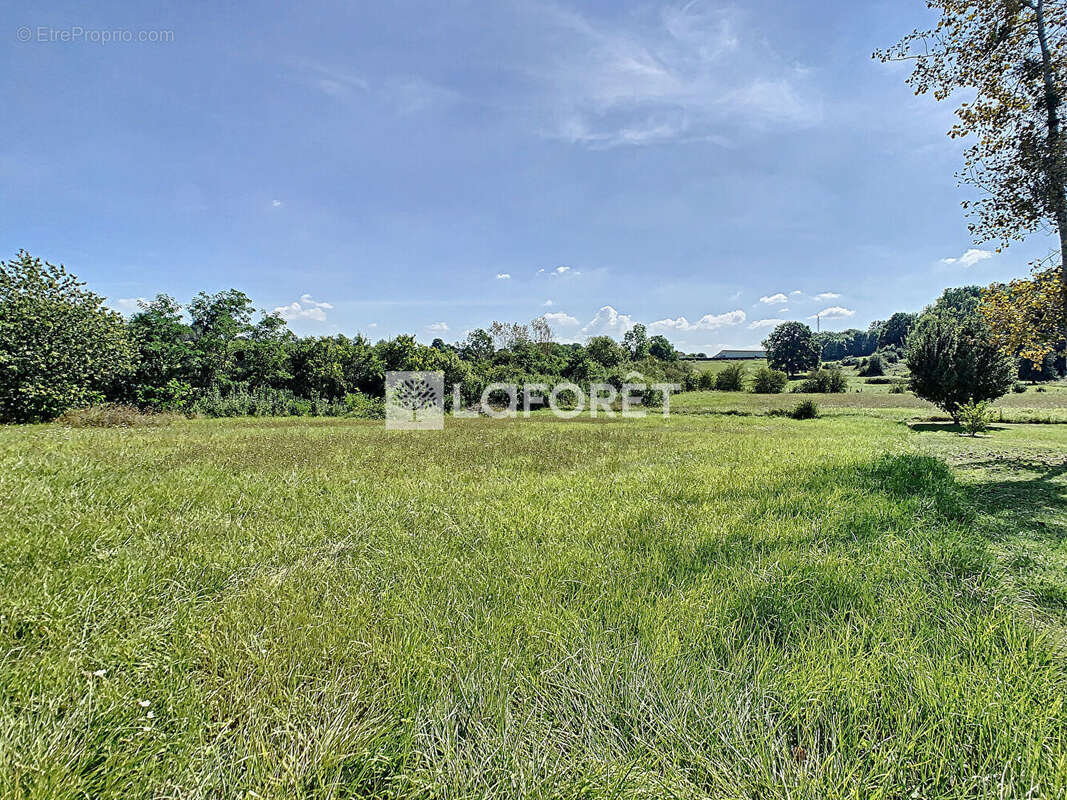 Terrain à CHAUDEFONTAINE