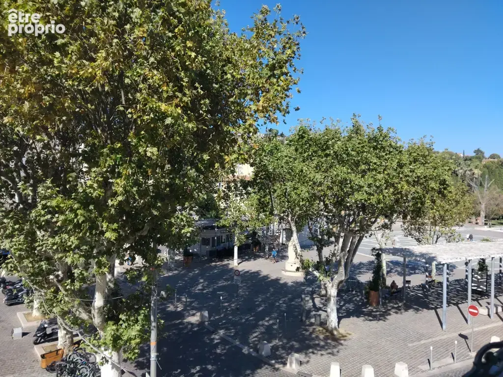 Grand t2 vue degagee place clemenceau - photo 11