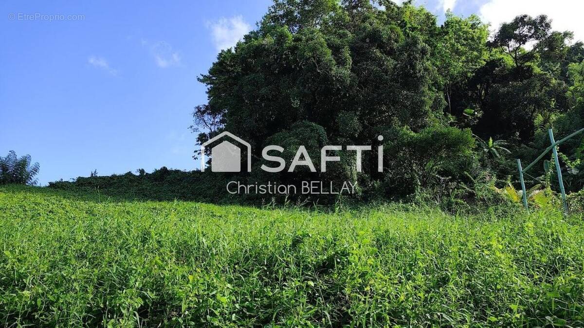 Photo 1 - Terrain à LE FRANCOIS