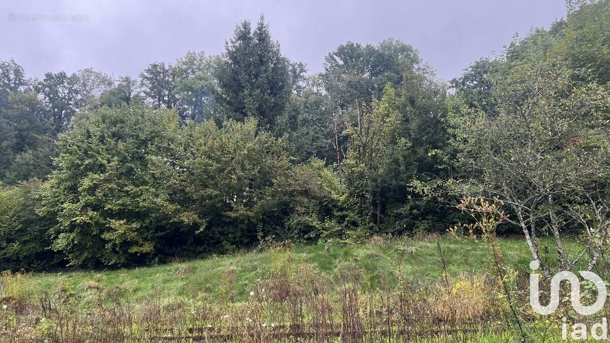 Photo 3 - Terrain à PONT-DE-ROIDE