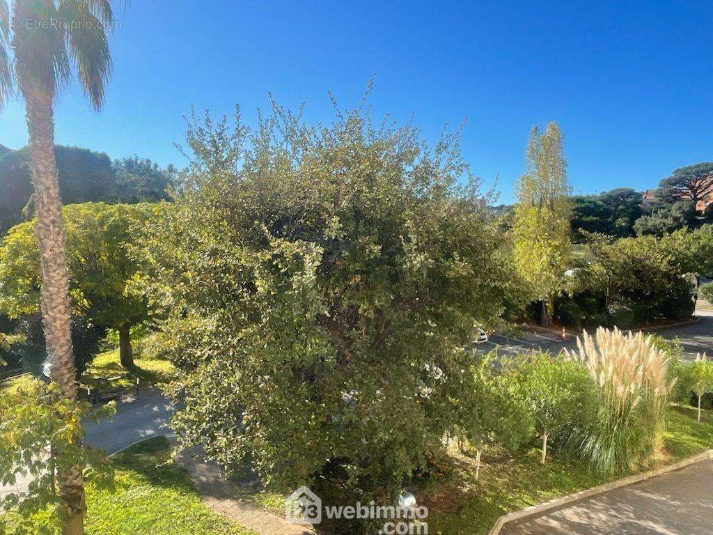 Vue dégagée sur un environnement verdoyant et apaisant. - Appartement à SAINTE-MAXIME