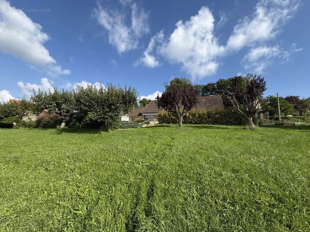 Maison à CREUZIER-LE-VIEUX