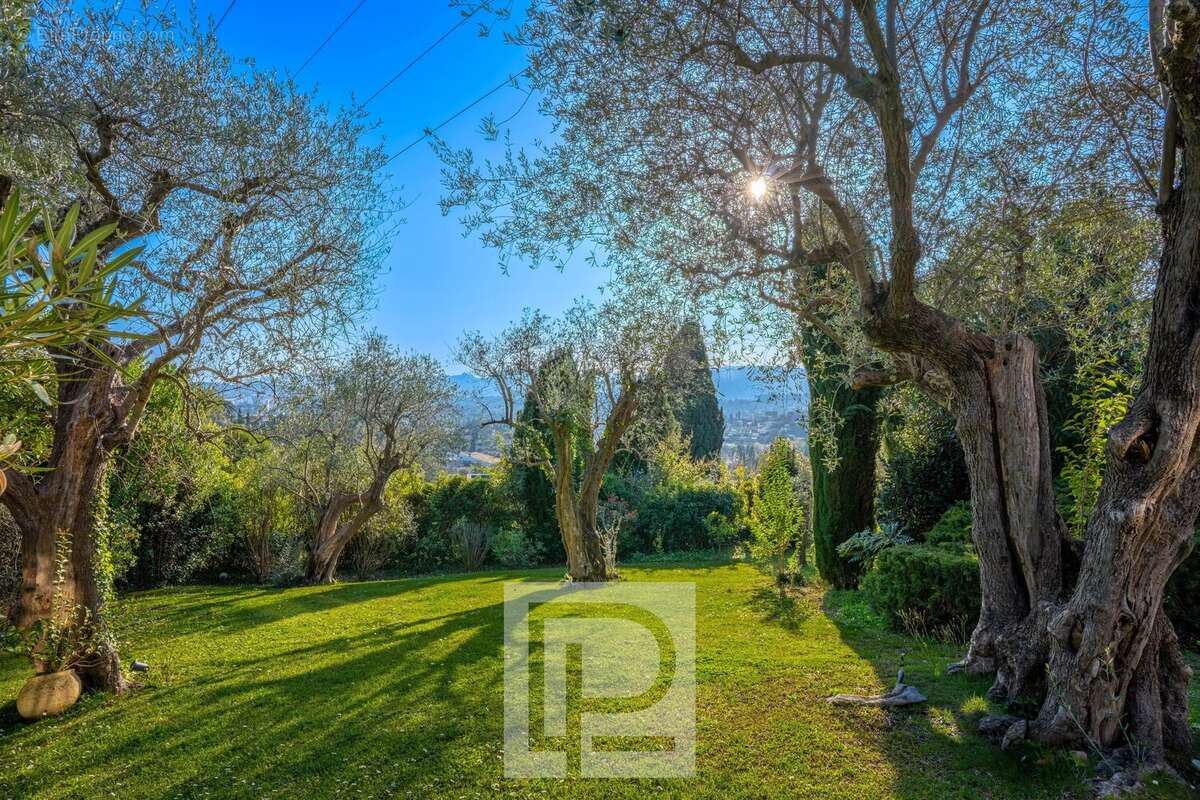 Maison à MOUGINS