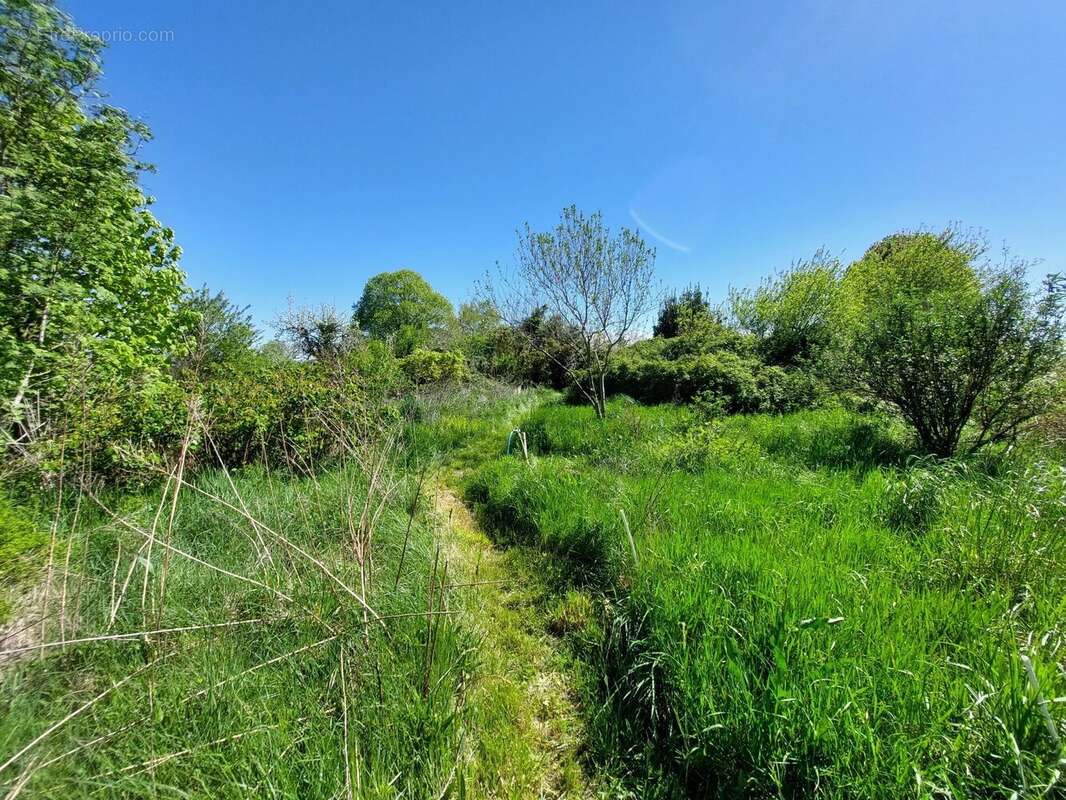Maison à JOUQUEVIEL