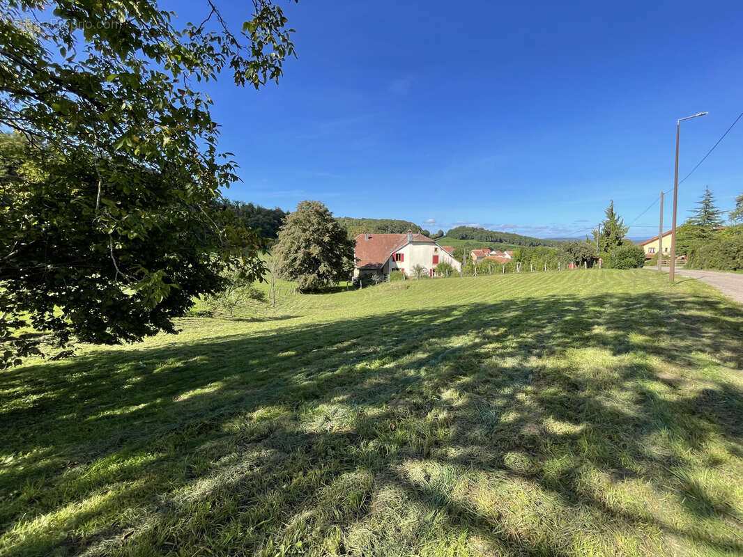 Terrain à SAULNOT