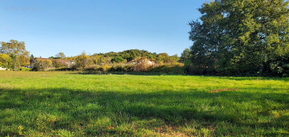 Terrain à LE SEQUESTRE