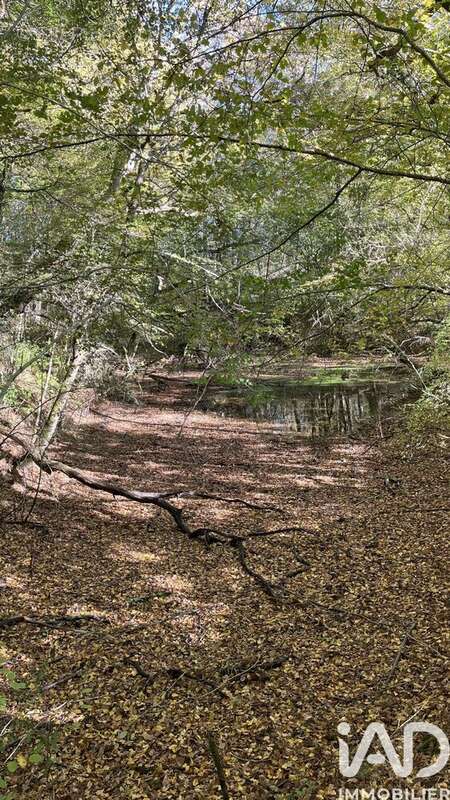 Photo 6 - Terrain à MARGUESTAU