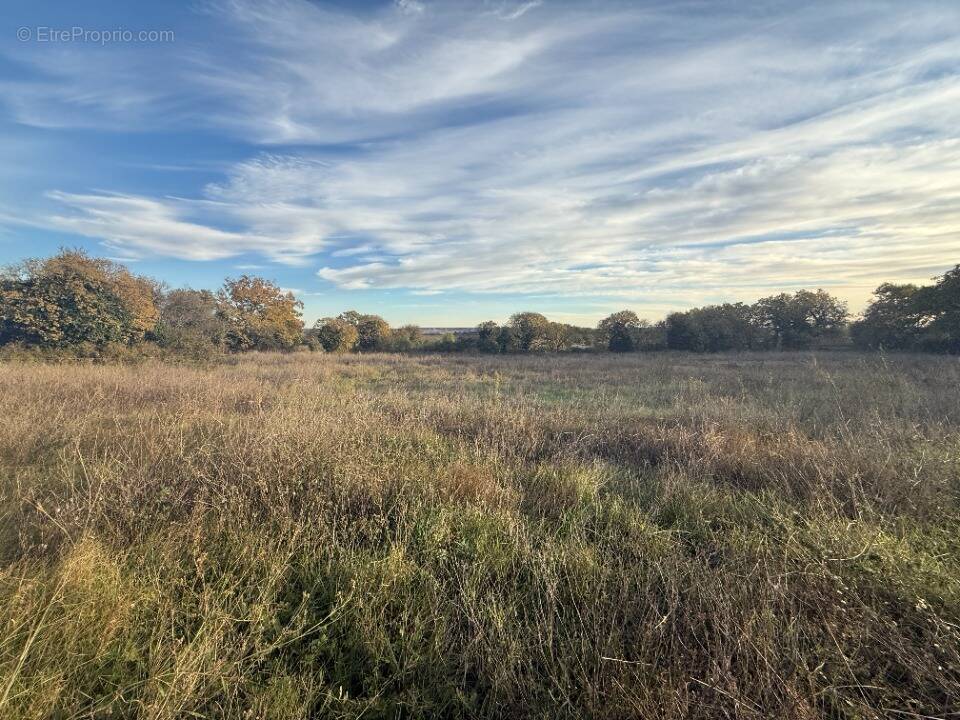 Terrain à GARRIGUES-SAINTE-EULALIE