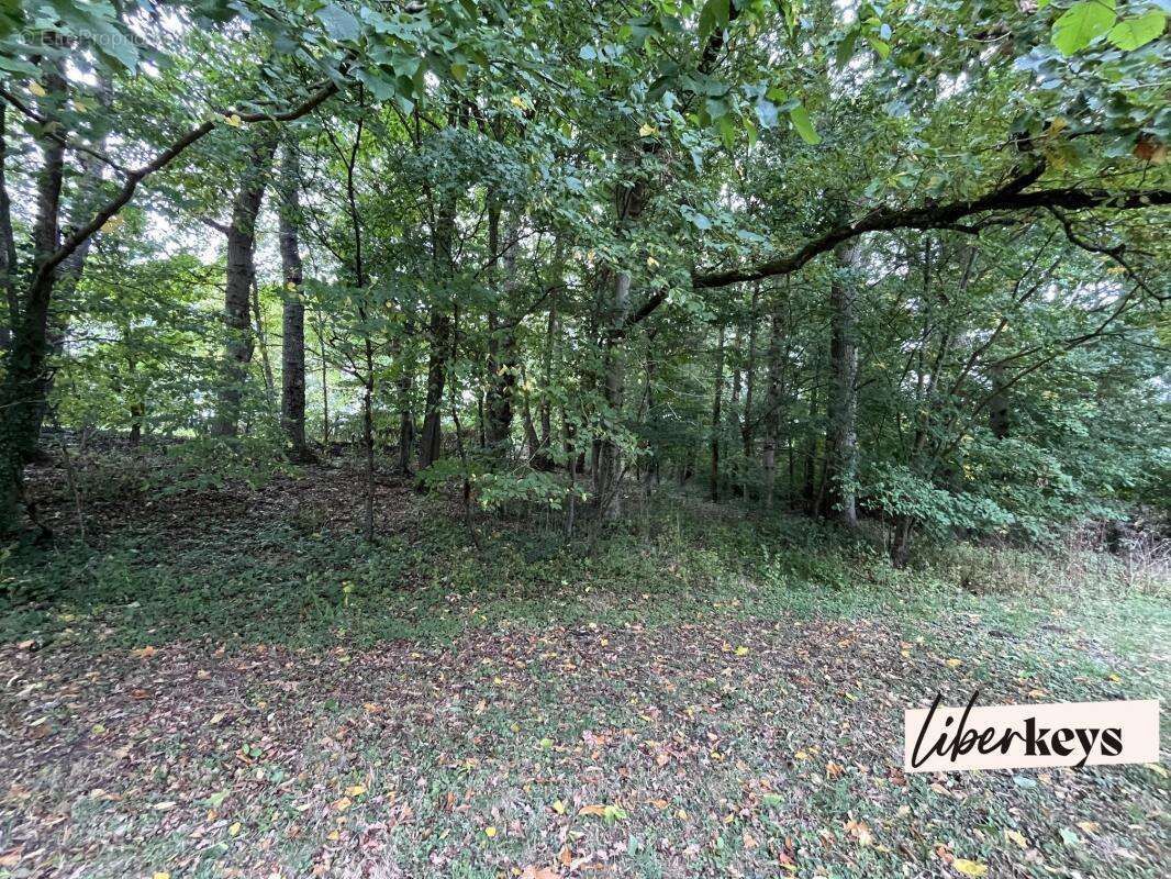 Maison à LA MANCELIERE