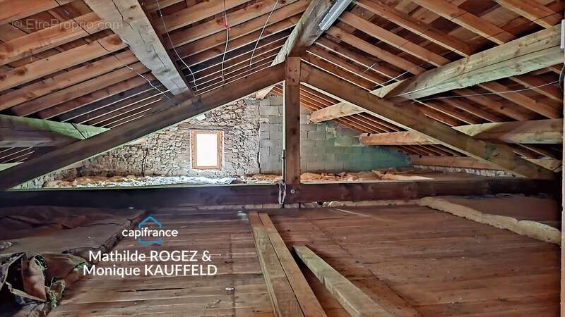 Grande demeure de charme + gîte + grand terrain - Tours-sur-Meymont - photo 8