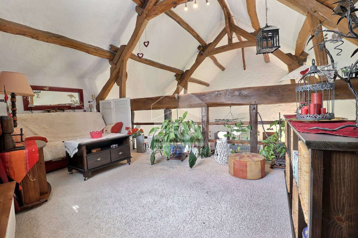 Maison 283m² à autruy-sur-juine - photo 4