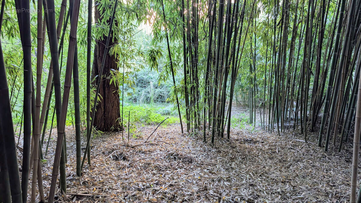 Terrain à LE BOULOU