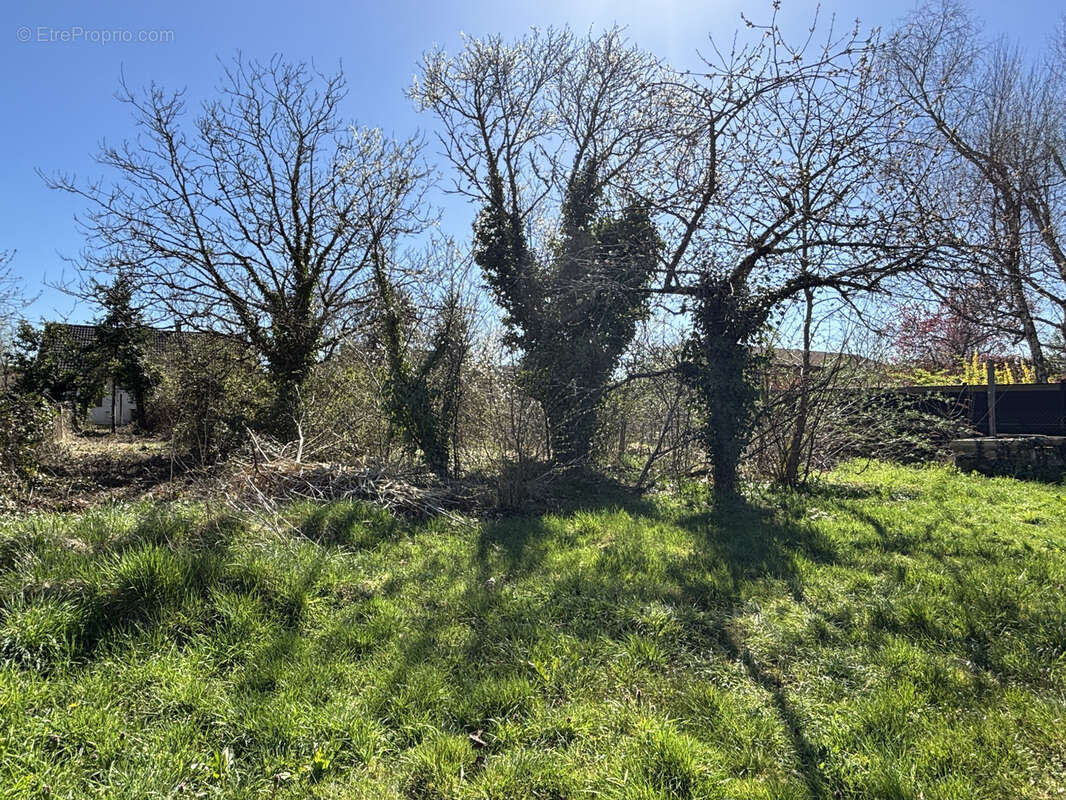 Terrain à bâtir de 650 m2 - proche centre de La Ferté Saint Aubin - photo 4