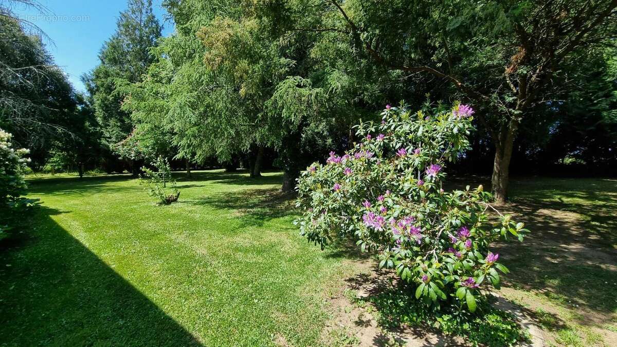 20250516_153012 - Maison à SAVIGNAC-DE-NONTRON