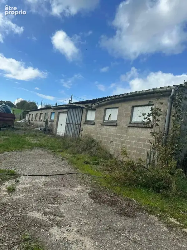 Hangar et étang - photo 2
