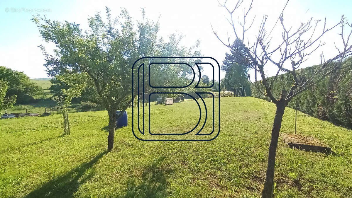 Terrain à OLLIERGUES