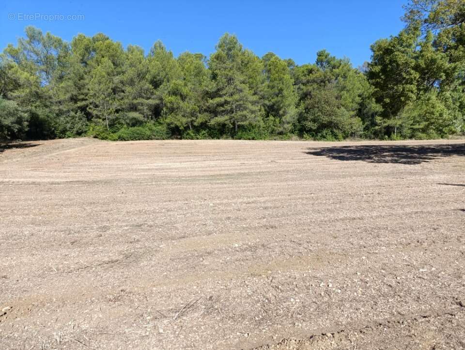 Terrain à MONTARNAUD