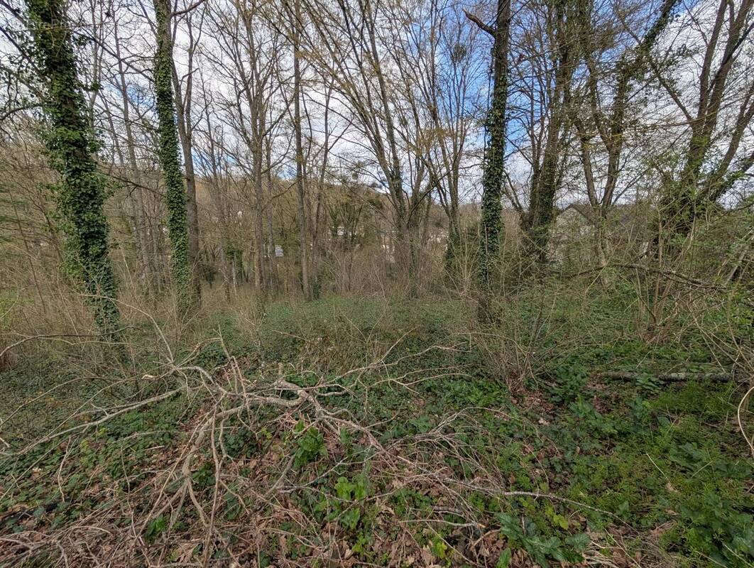 Terrain à FONTAINE-LE-PORT