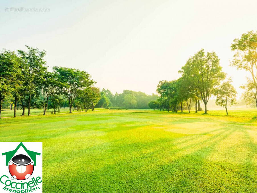 Terrain à BISCARROSSE