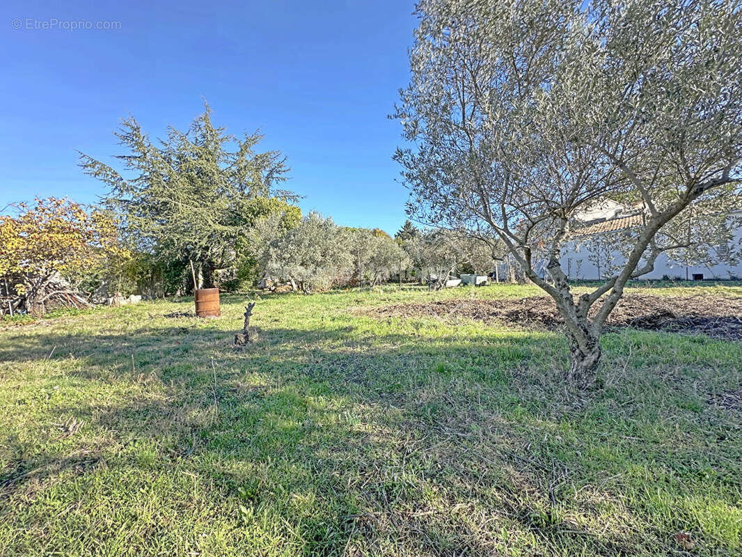 Terrain à VALERGUES