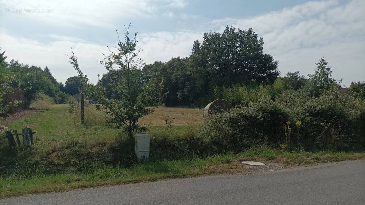 Terrain à SAINT-AUVENT