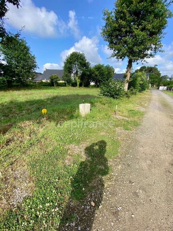 Terrain à LA TRINITE-SURZUR