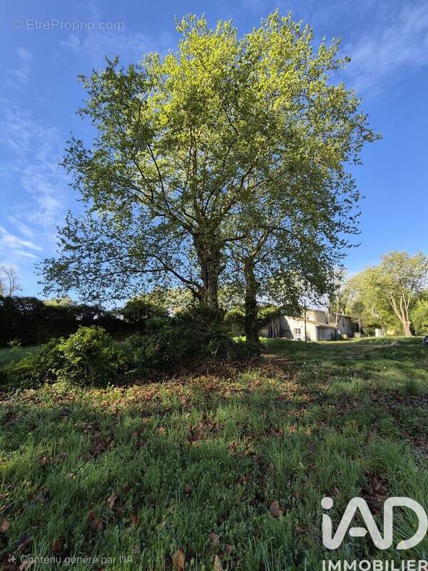 Photo 1 - Terrain à SAINT-MEDARD-D'EYRANS