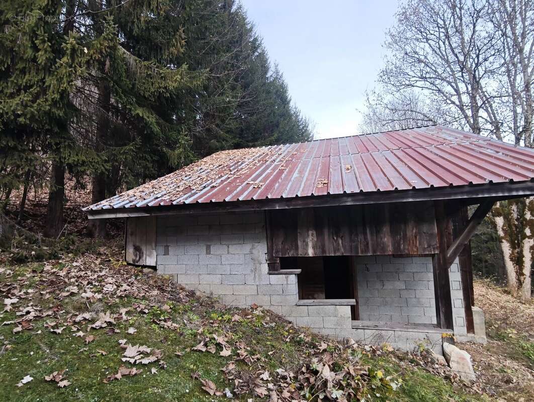 Maison à SAMOENS