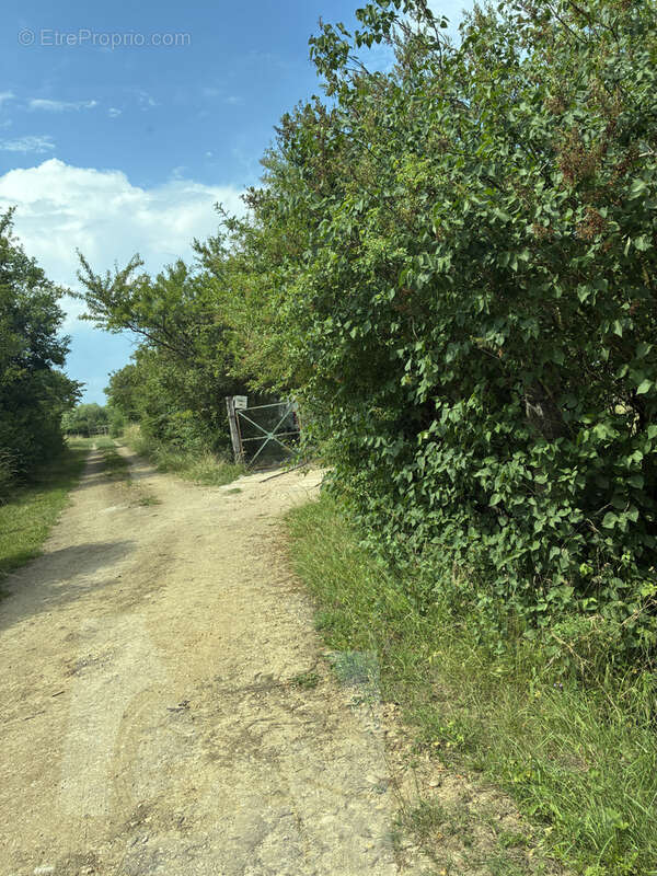 Terrain de loisirs, clos, avec dépendances - photo 17