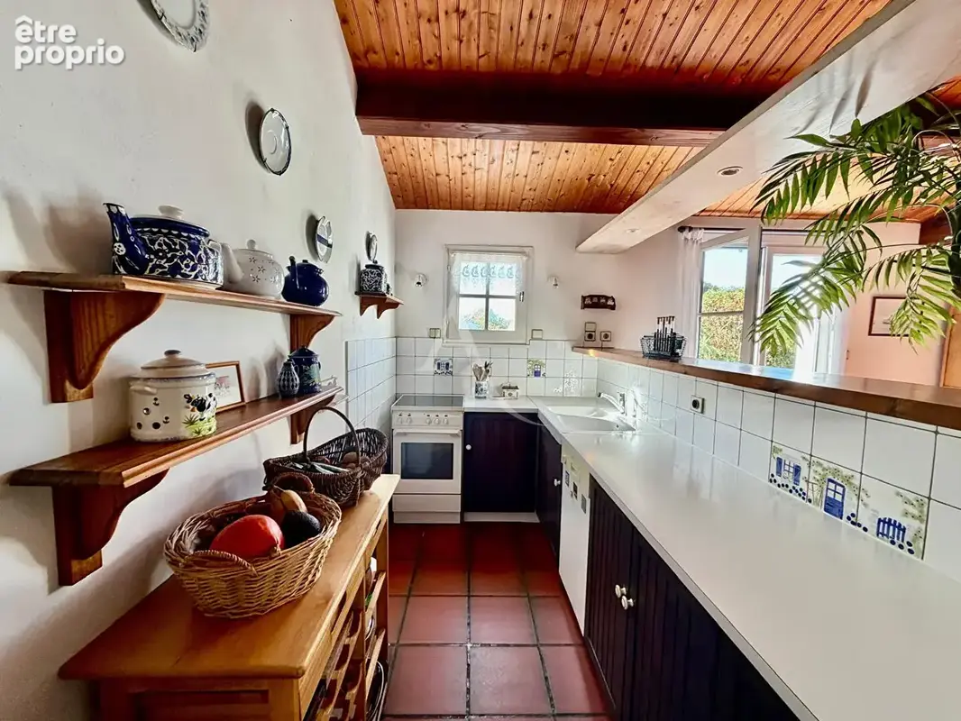 Maison barbatre - photo 7