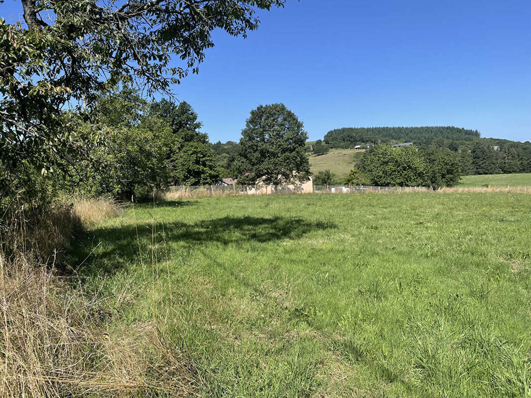 Terrain à NEUVIC-ENTIER