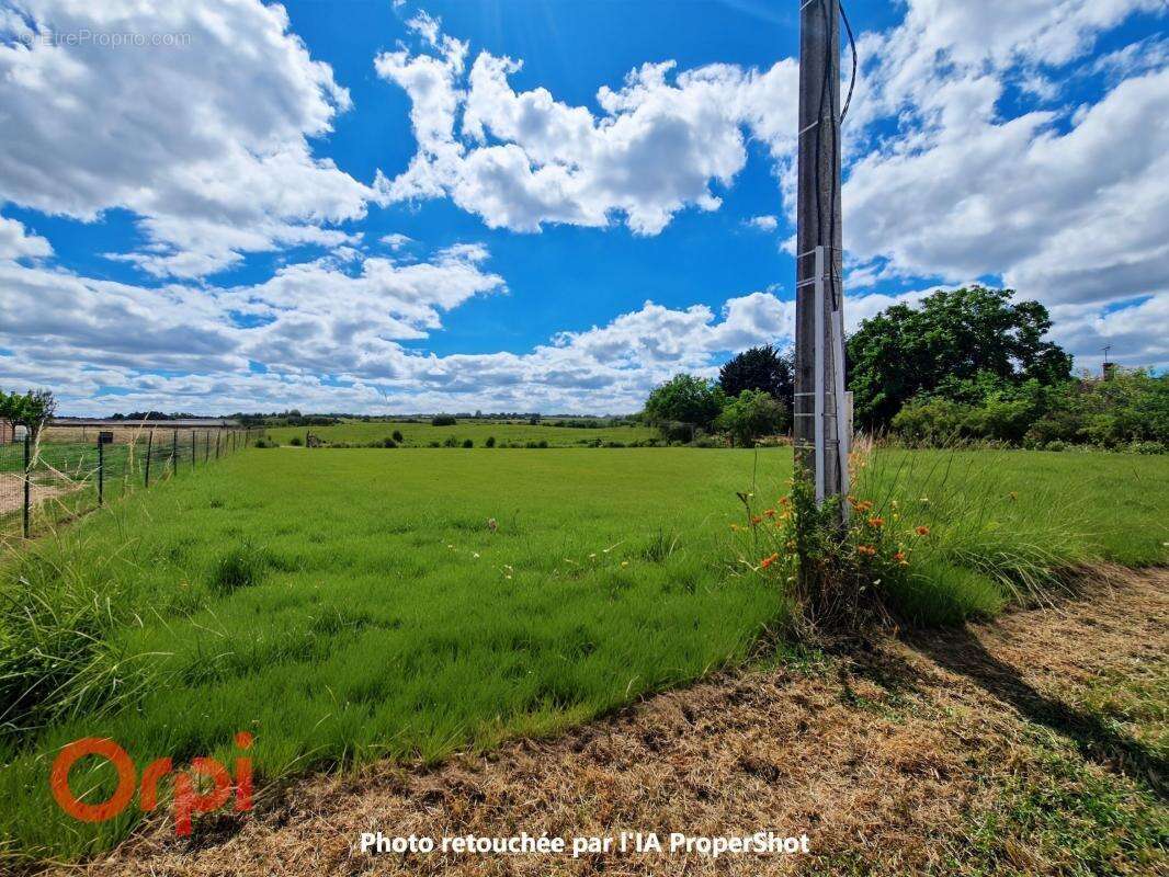 Terrain à CHATILLON-SUR-CHER