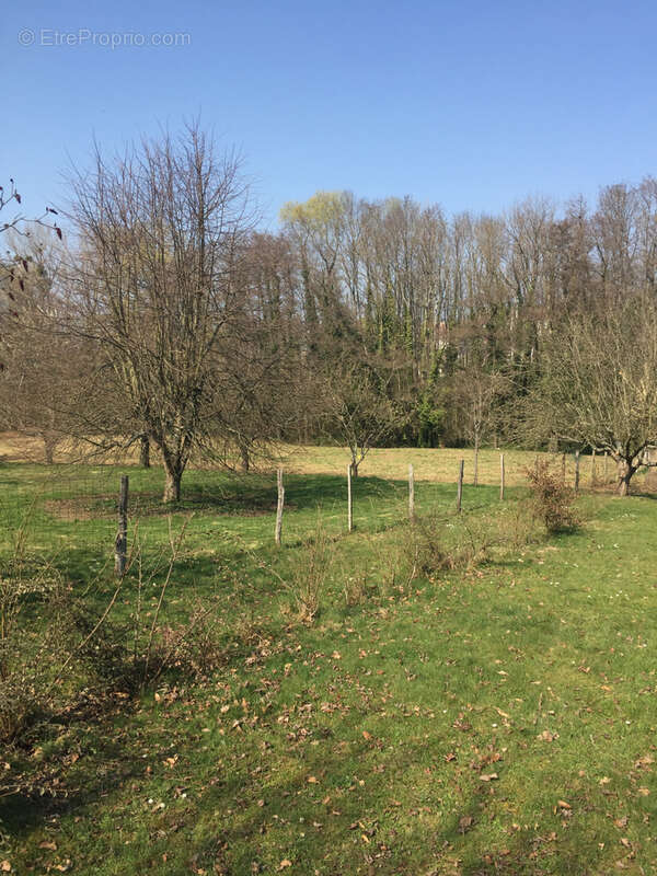 Terrain à BEAUVOIR