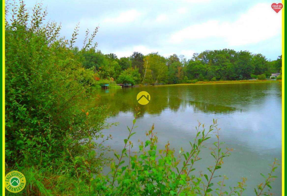 Maison à NEUVY-SUR-BARANGEON