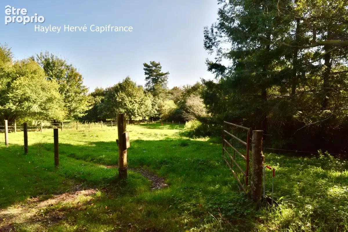 Propriété à vendre Proche Vire Calvados  (14) avec deux maisons d'habitation sur un terrain de 9 Hectares - Propriété équestre / - photo 13