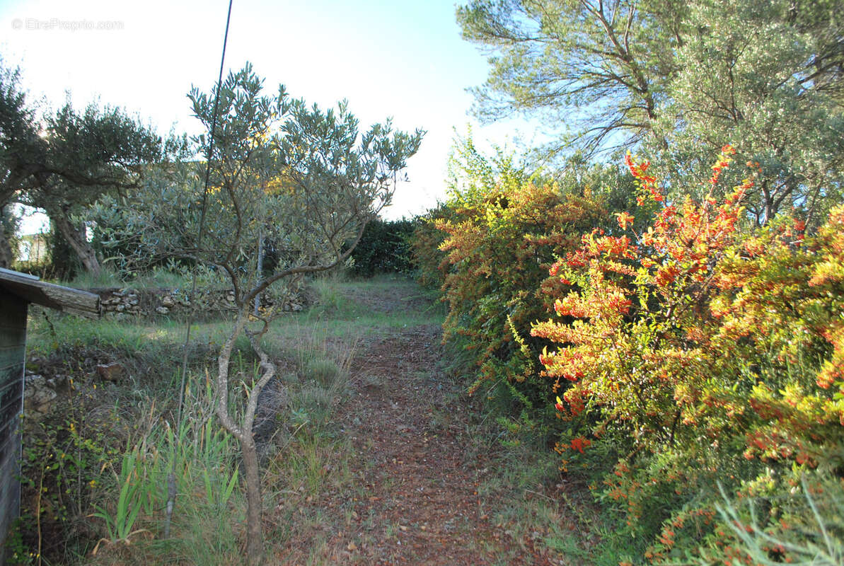 Terrain à SALERNES