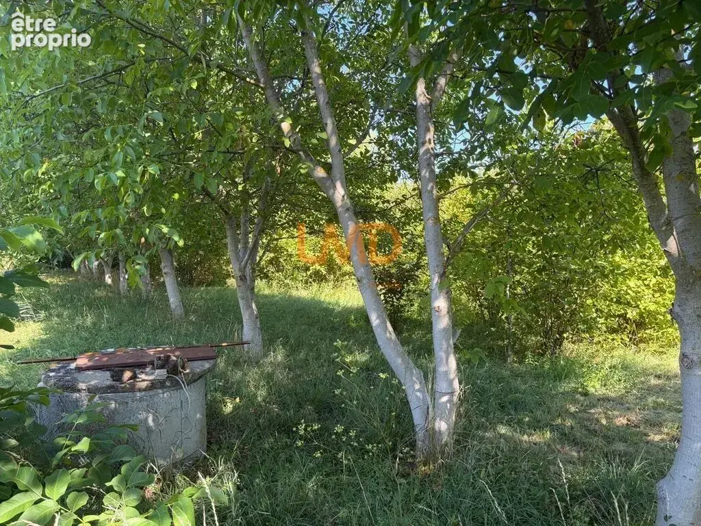 Propriété familiale rare avec parc arboré et fort potentiel fonc - photo 12