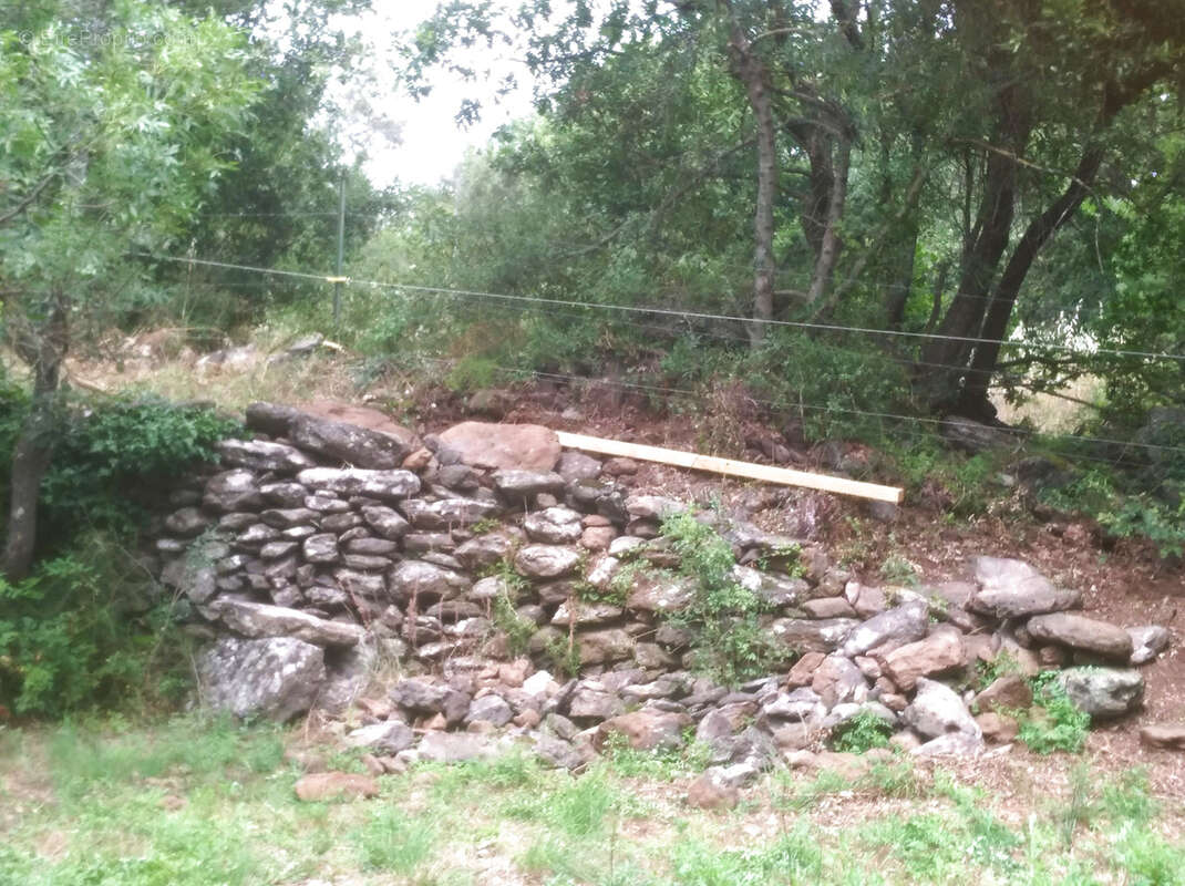 Terrain à VALMASCLE