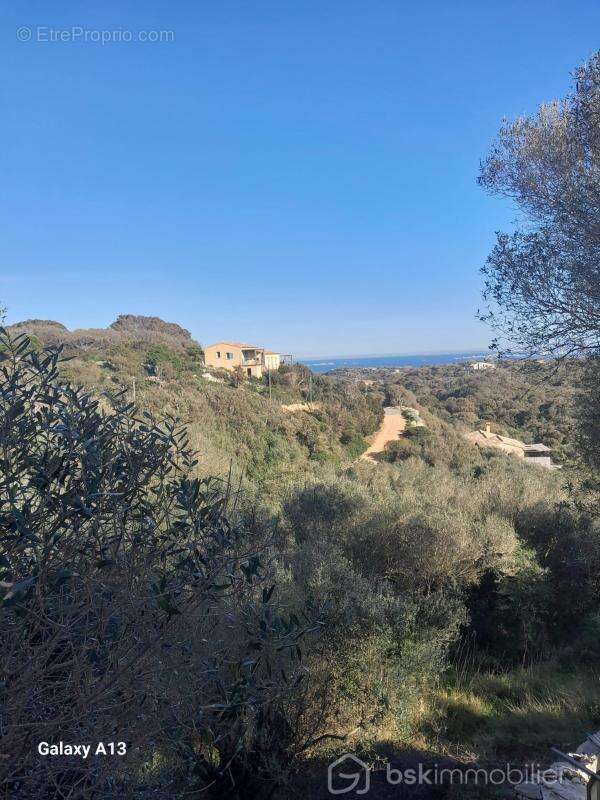 Oasis de tranquillité au cœur de Bonifacio, villa d'exception sur terrain de 3 hectares ! - photo 2